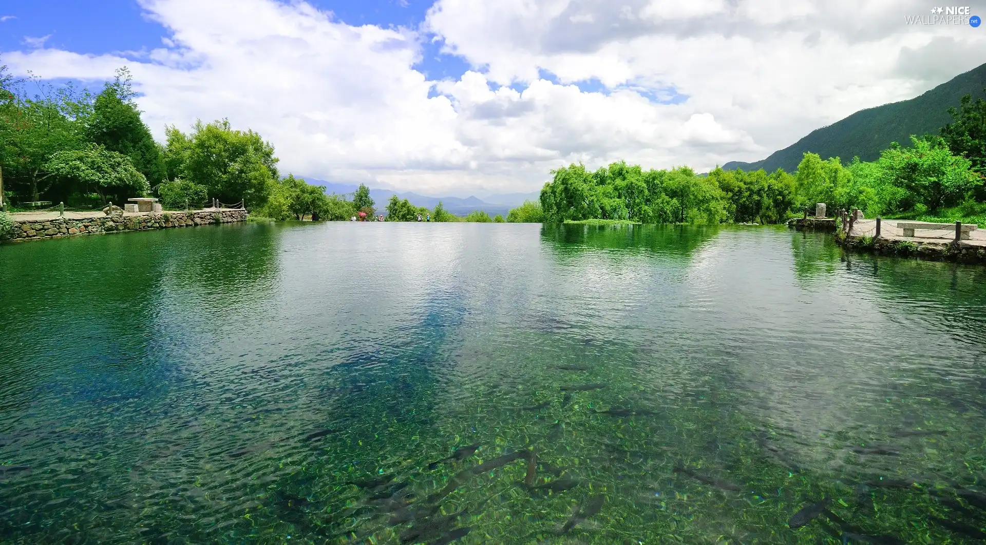 viewes, clouds, lake, trees, beatyfull