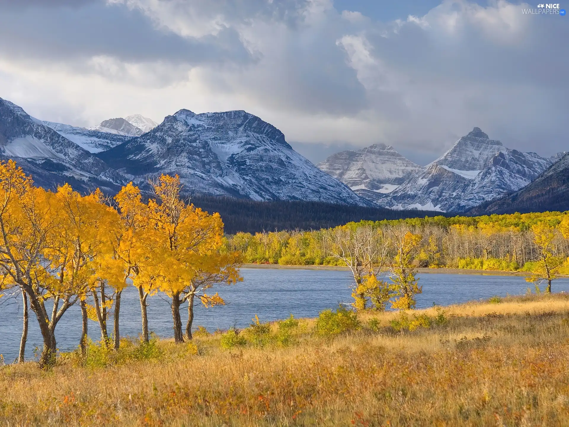 viewes, grass, Mountains, trees, lake