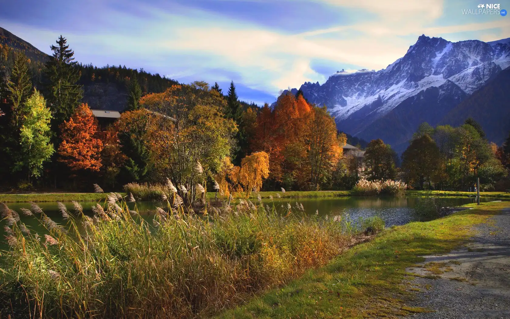 viewes, Mountains, cane, trees, River