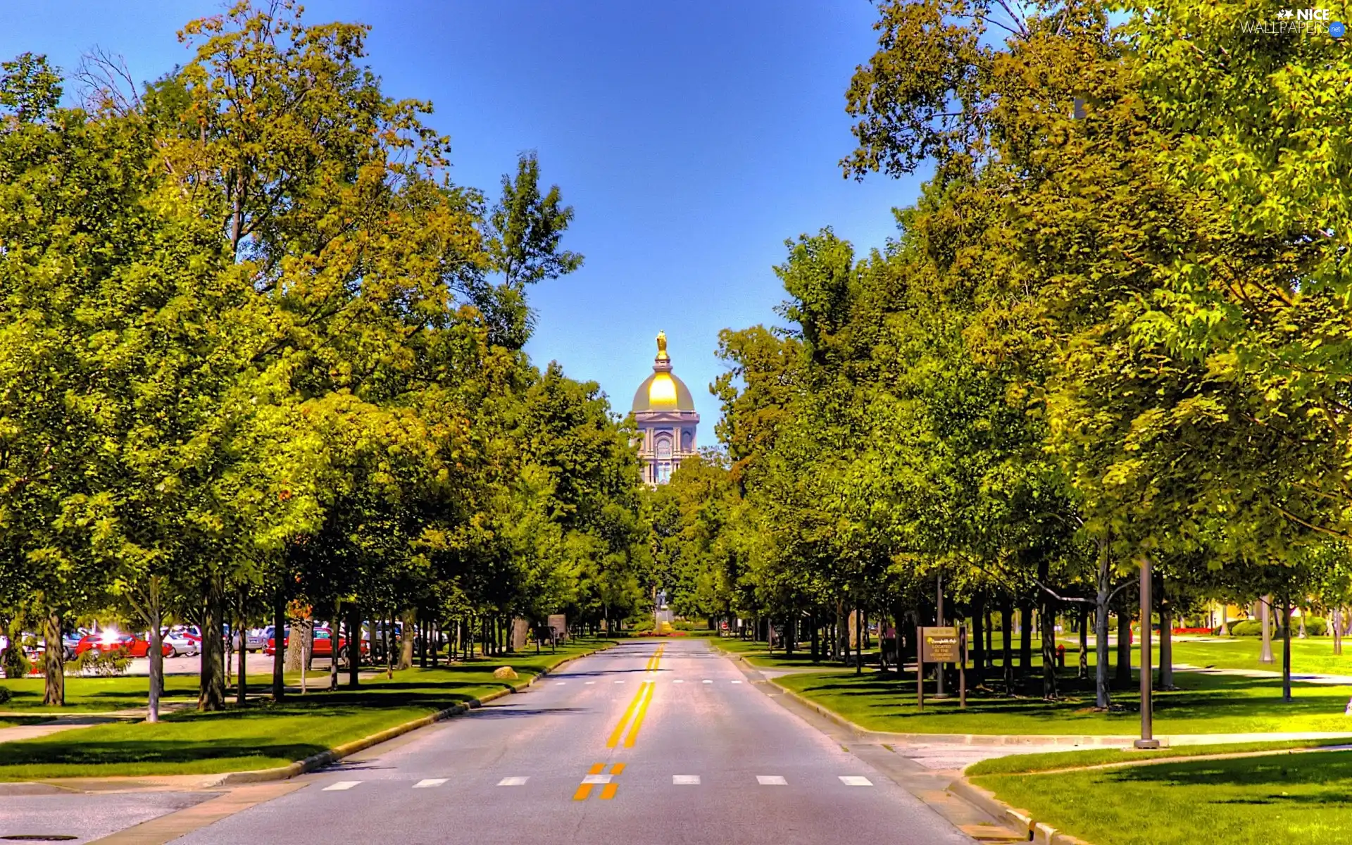 Park, trees, Golden automobile, viewes, green ones, Street, copula