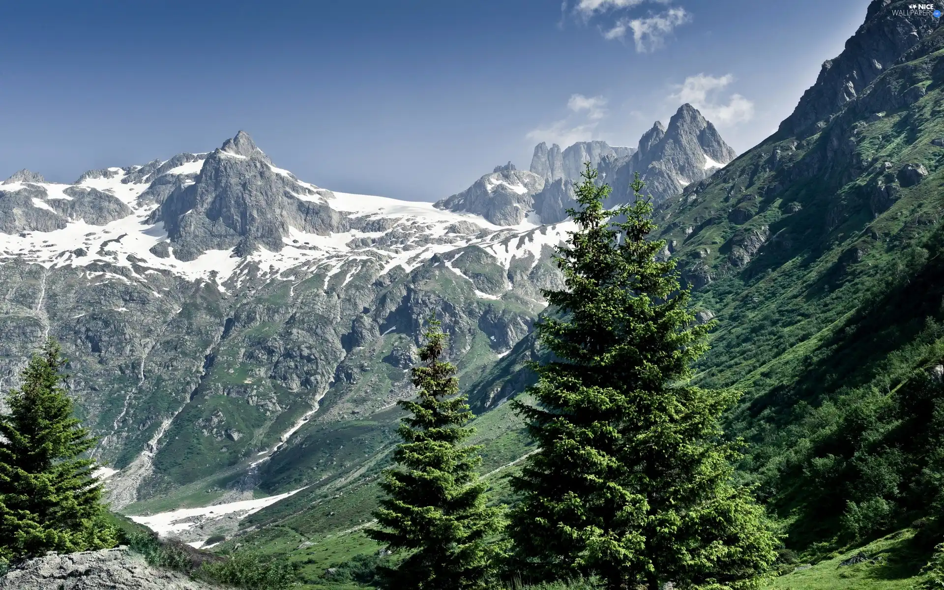 viewes, rocks, trees