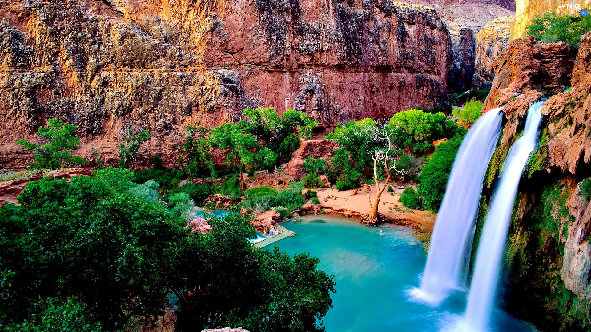 trees, Havasu Falls, Arizona, The United States, viewes, rocks