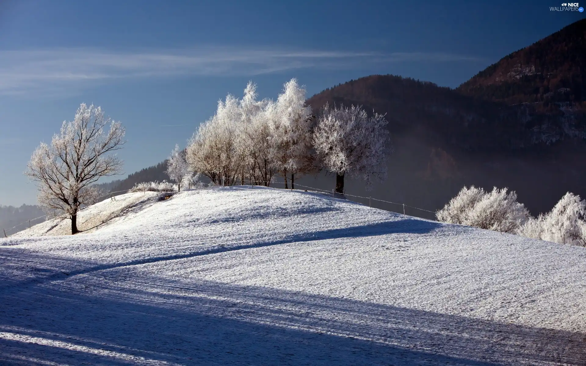 viewes, winter, field, trees, Mountains