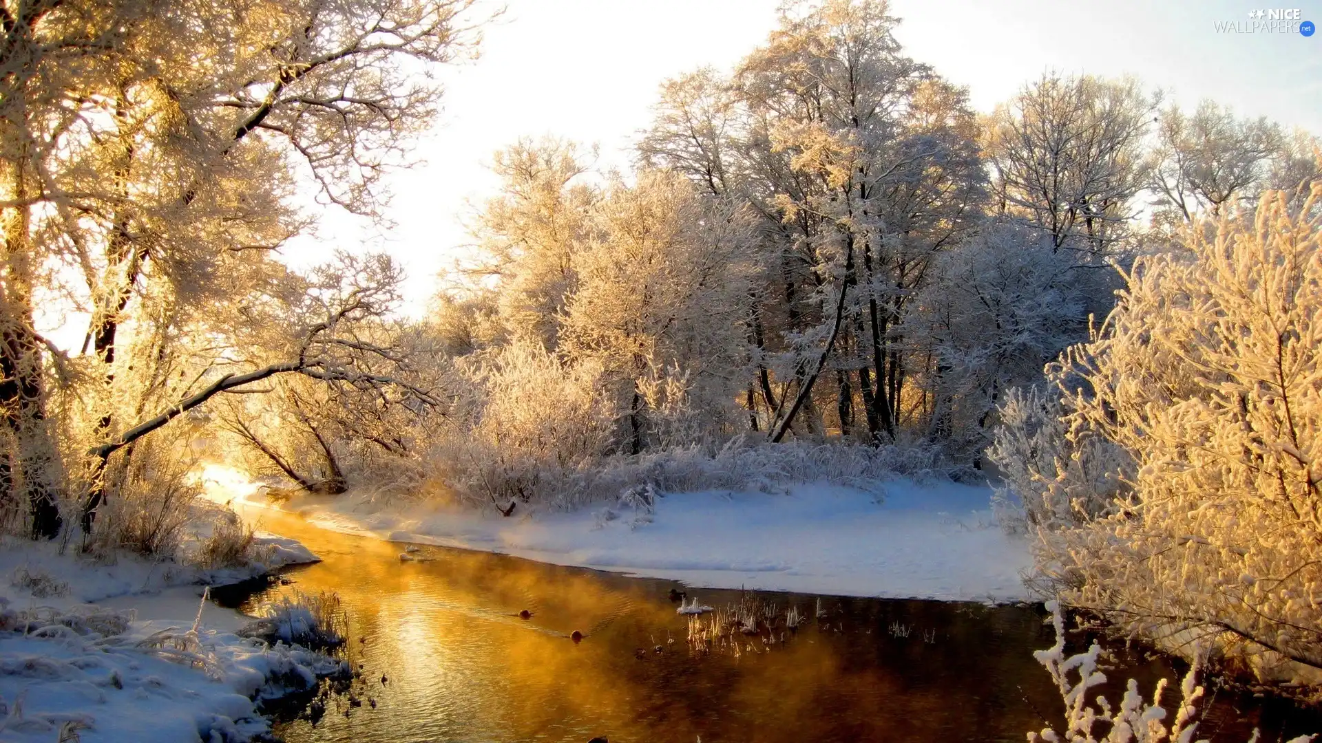 viewes, winter, Snowy, trees, River