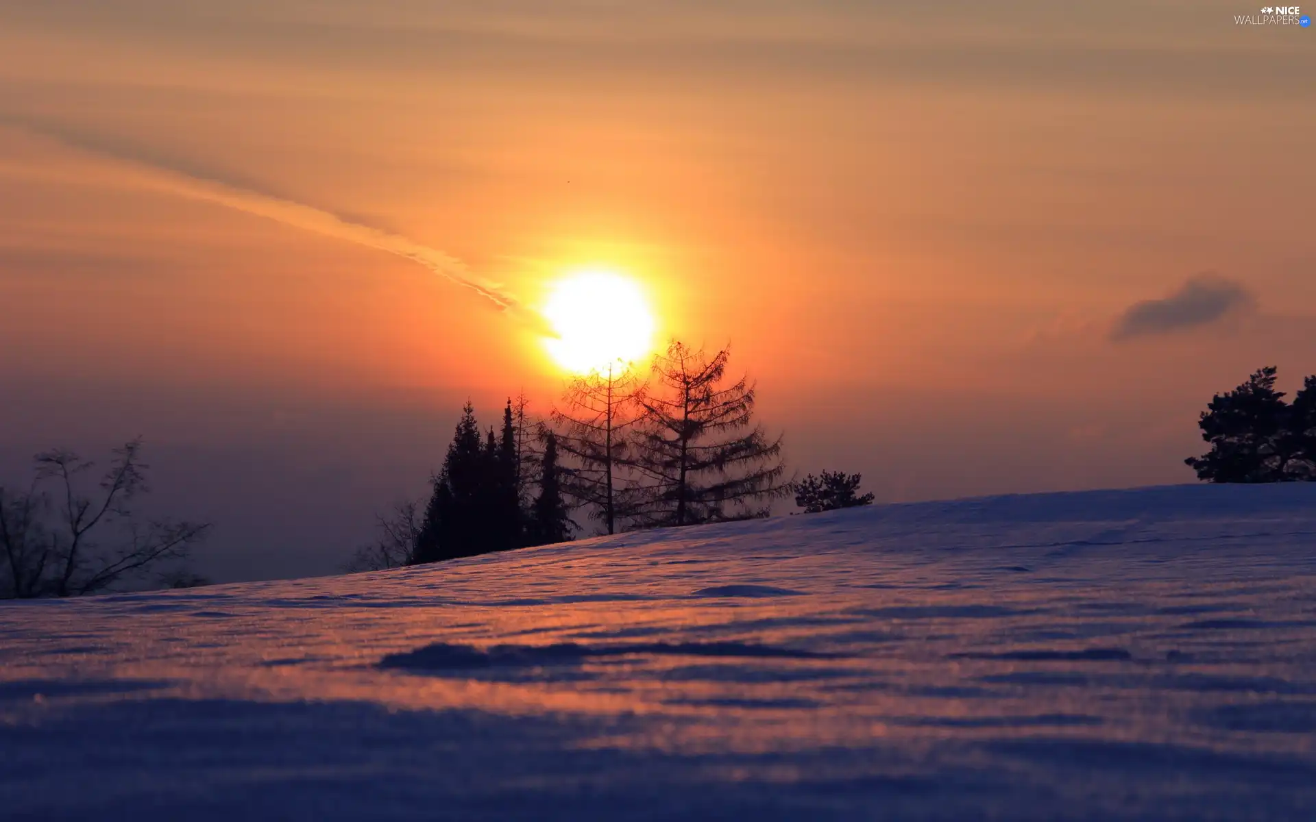 viewes, winter, sun, trees, west