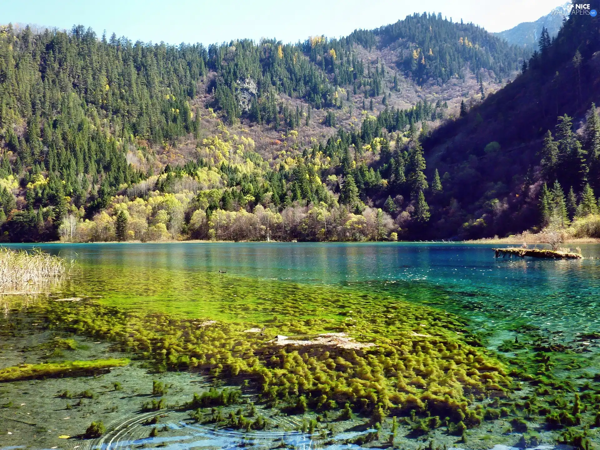 Mountains, Crystal, water, lake