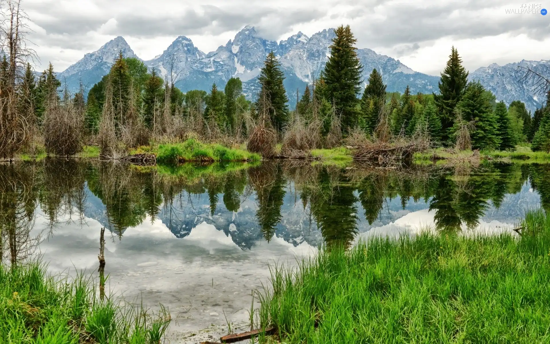 Mountains, grass, water, forest