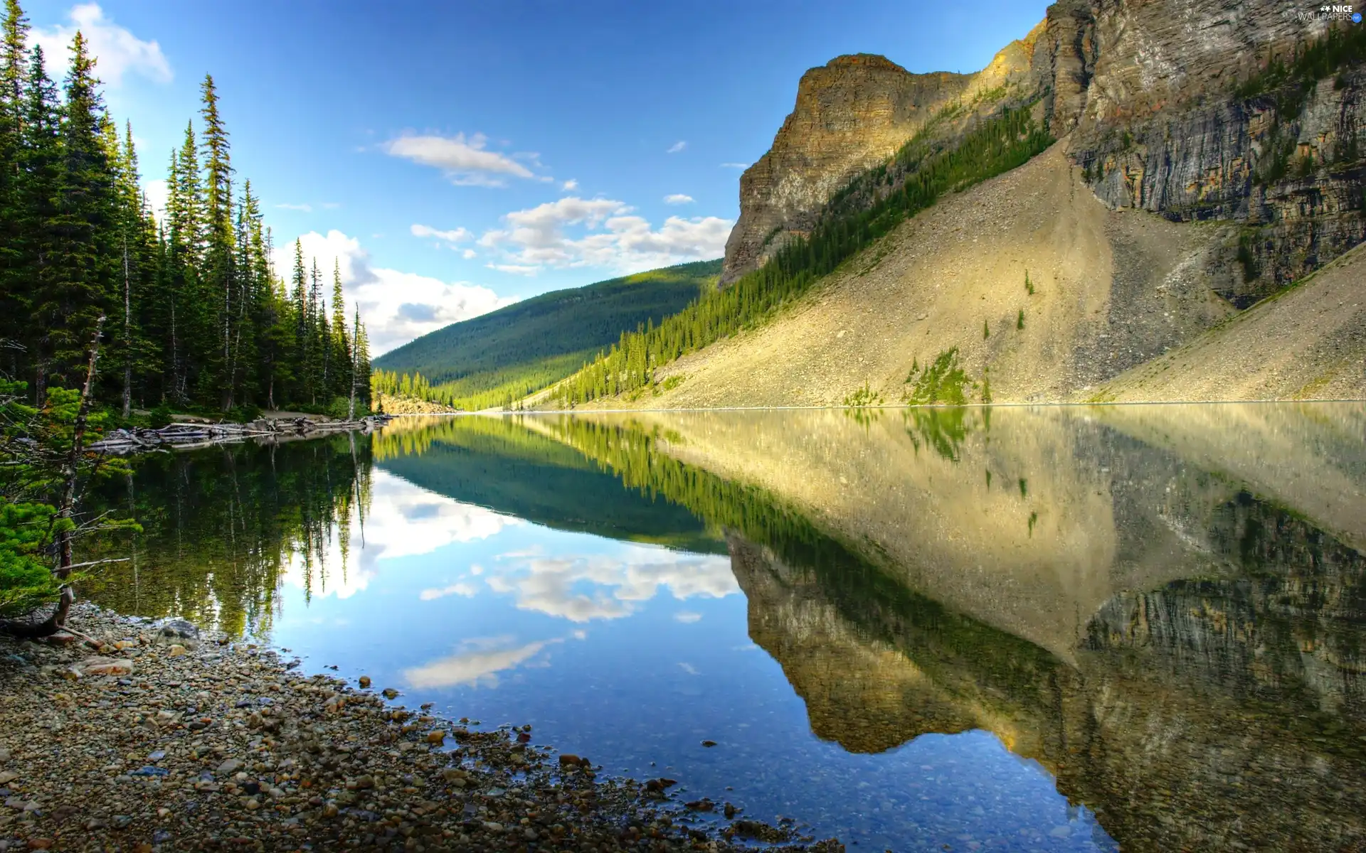 Sky, viewes, water, trees