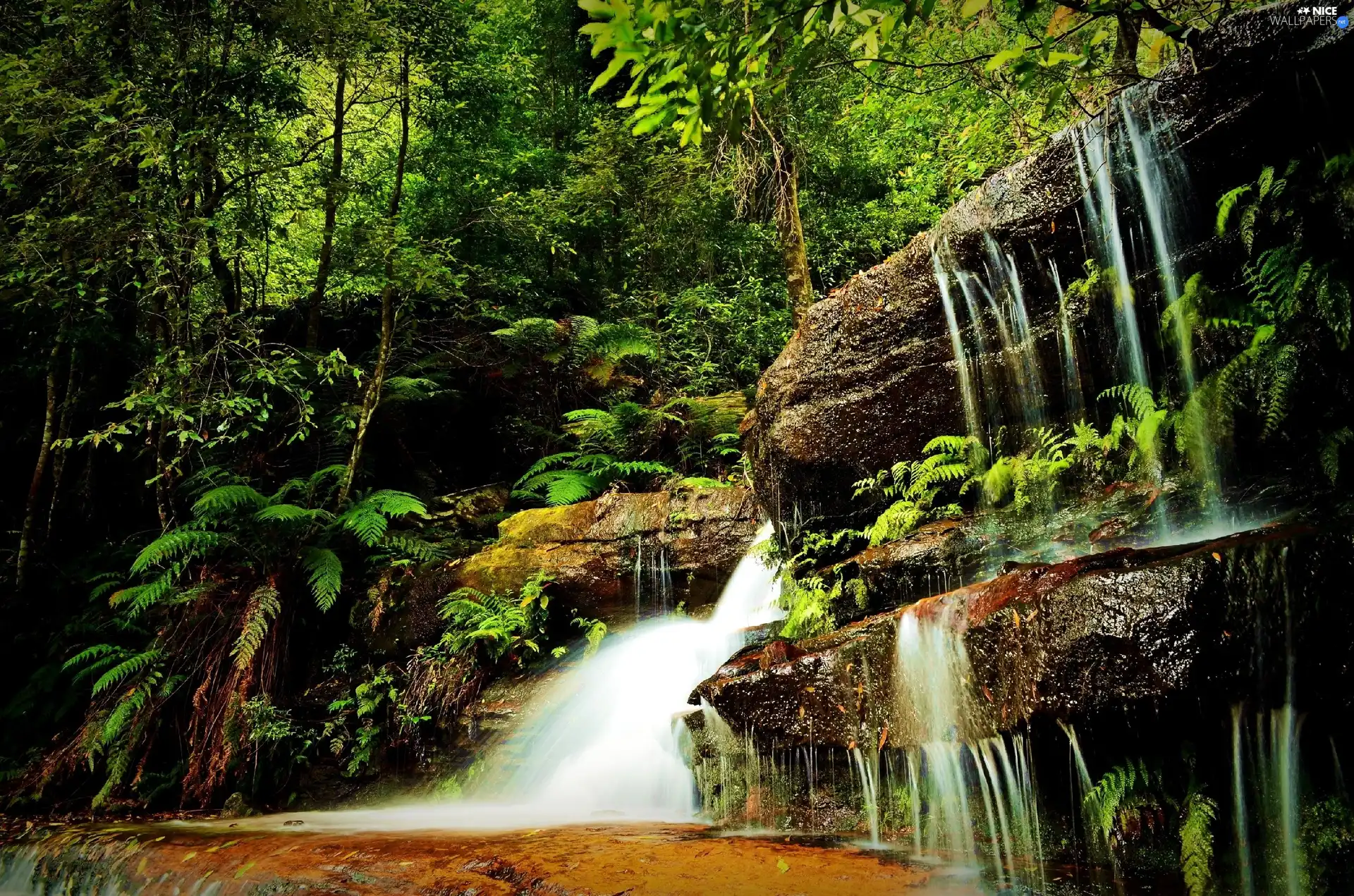 waterfall, forest, rocks