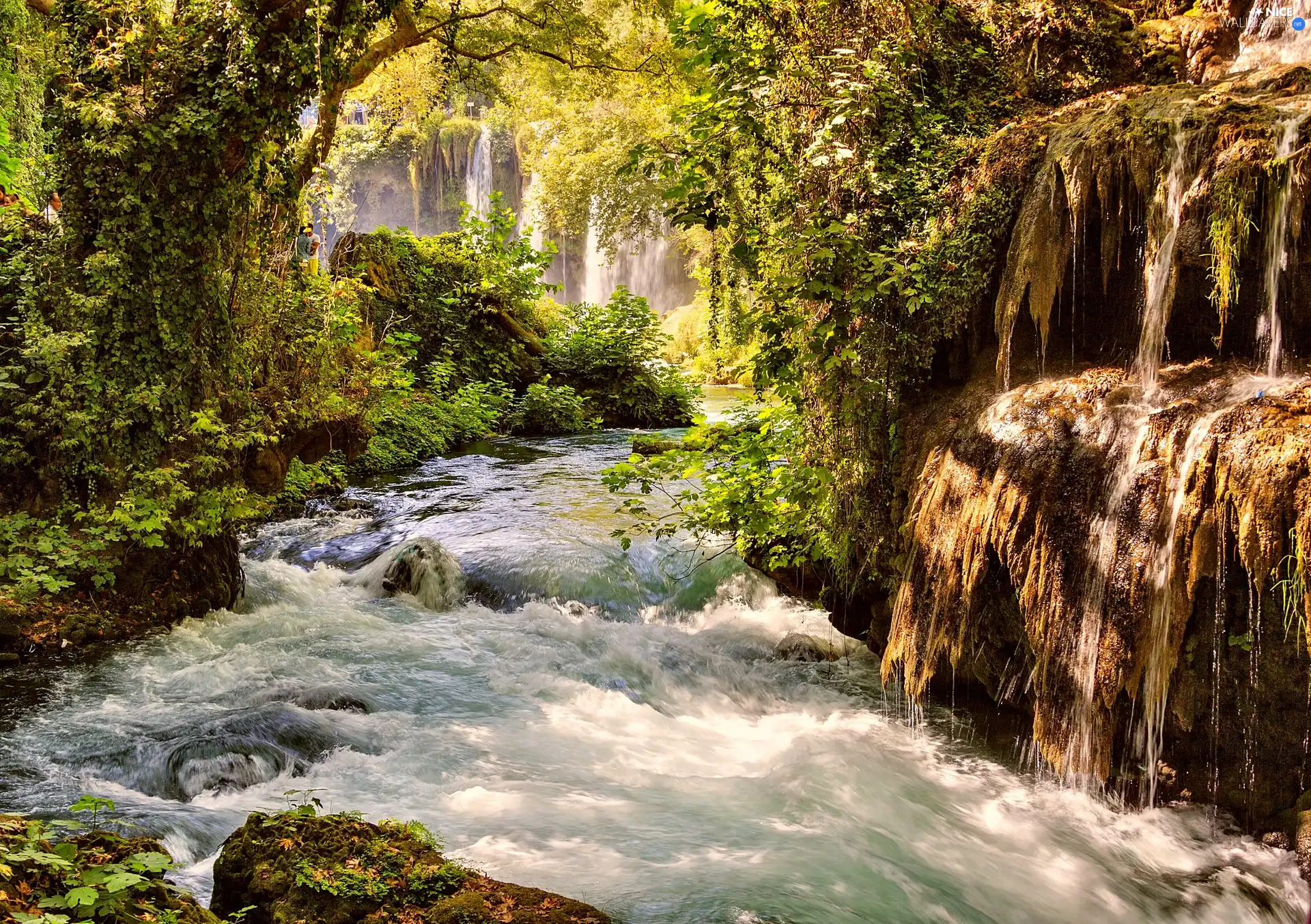 waterfalls, forest, River