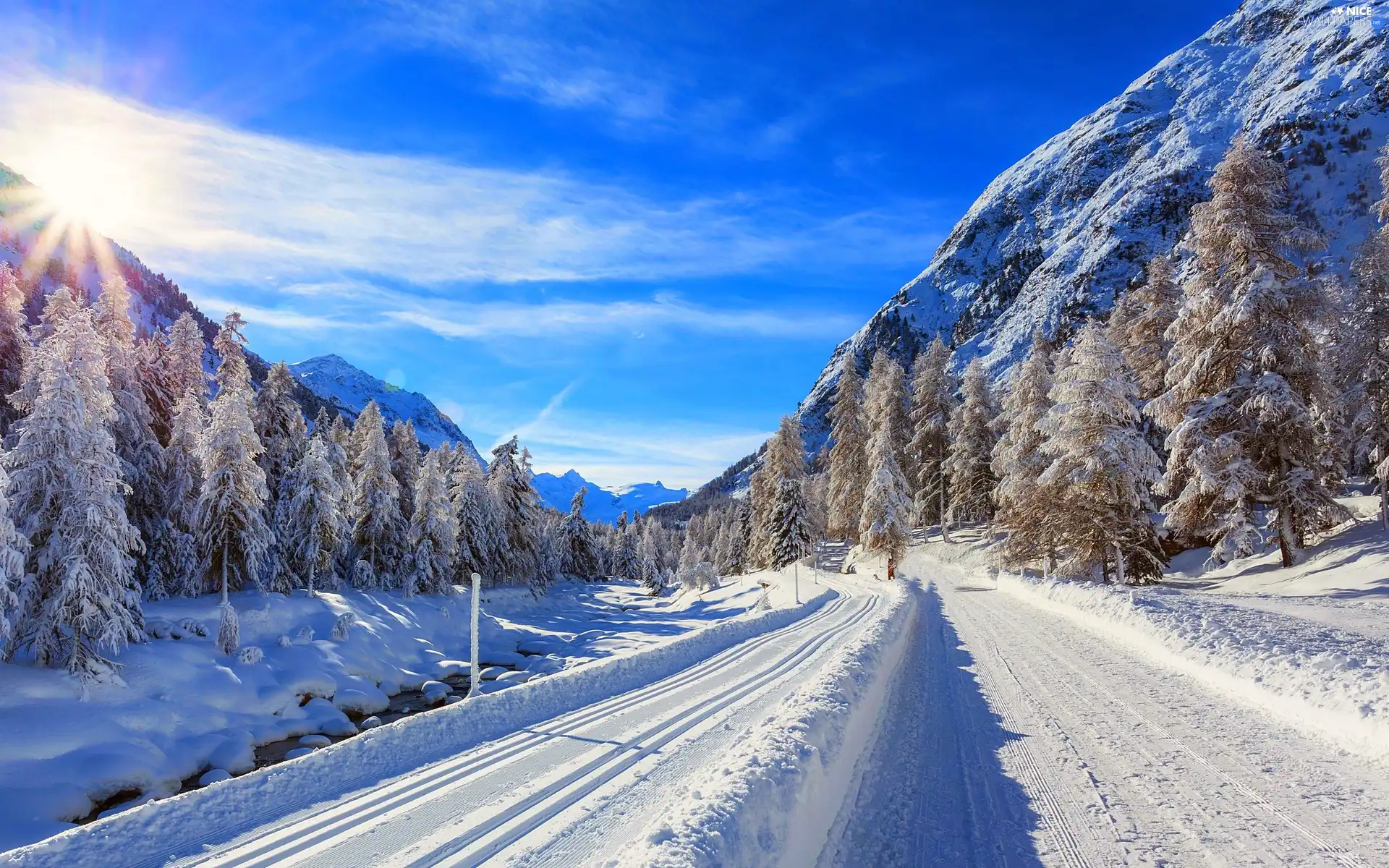 Way, sun, woods, winter, Mountains