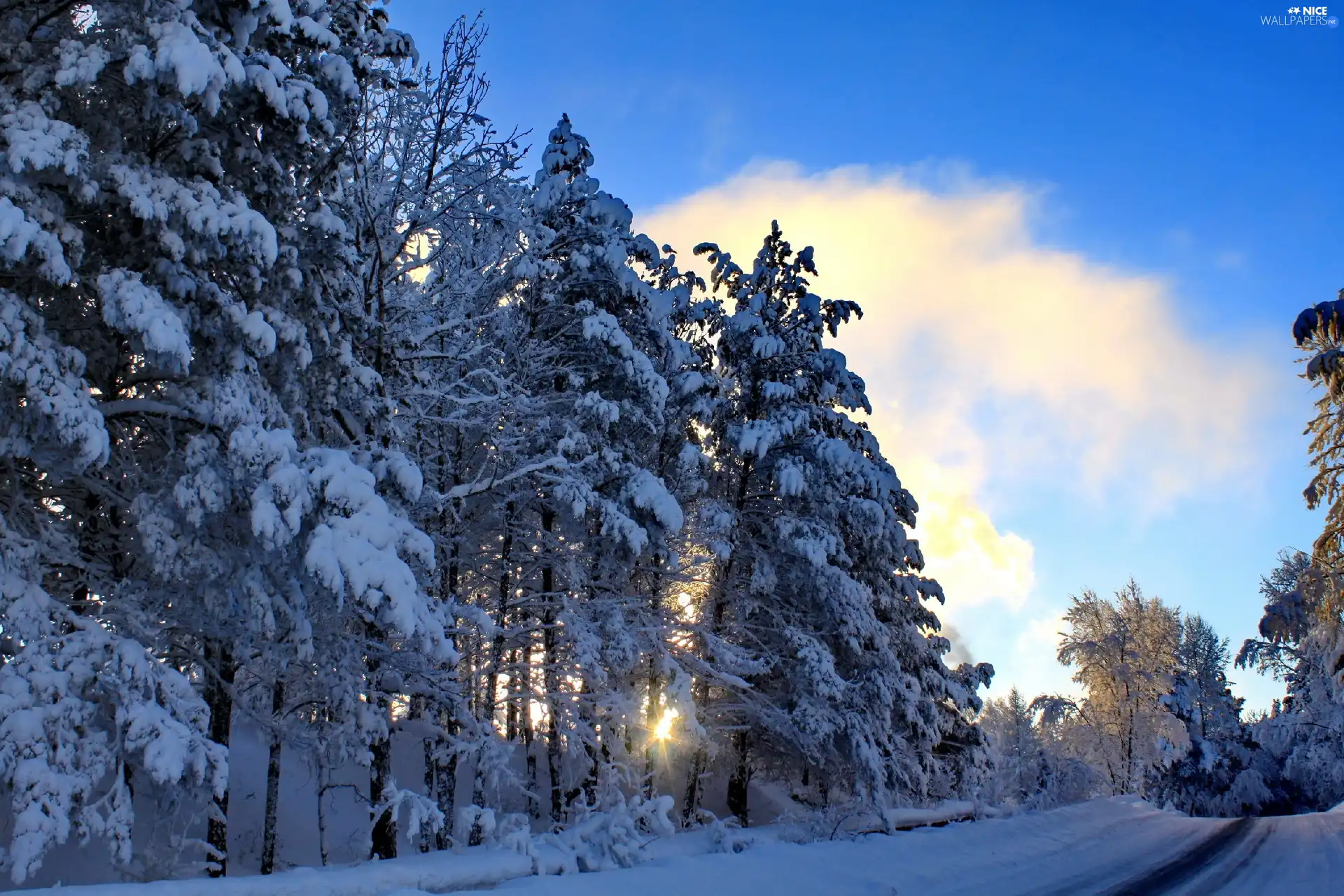 Way, winter, viewes, clouds, trees