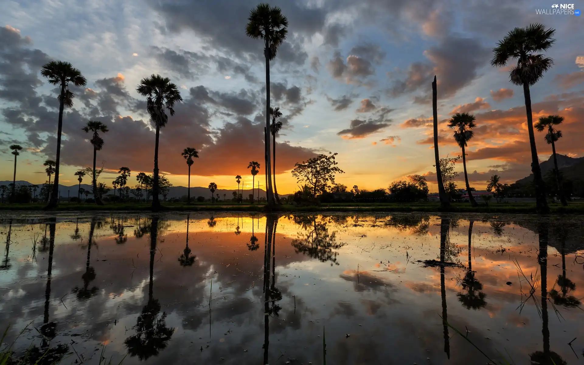 lake, viewes, west, trees