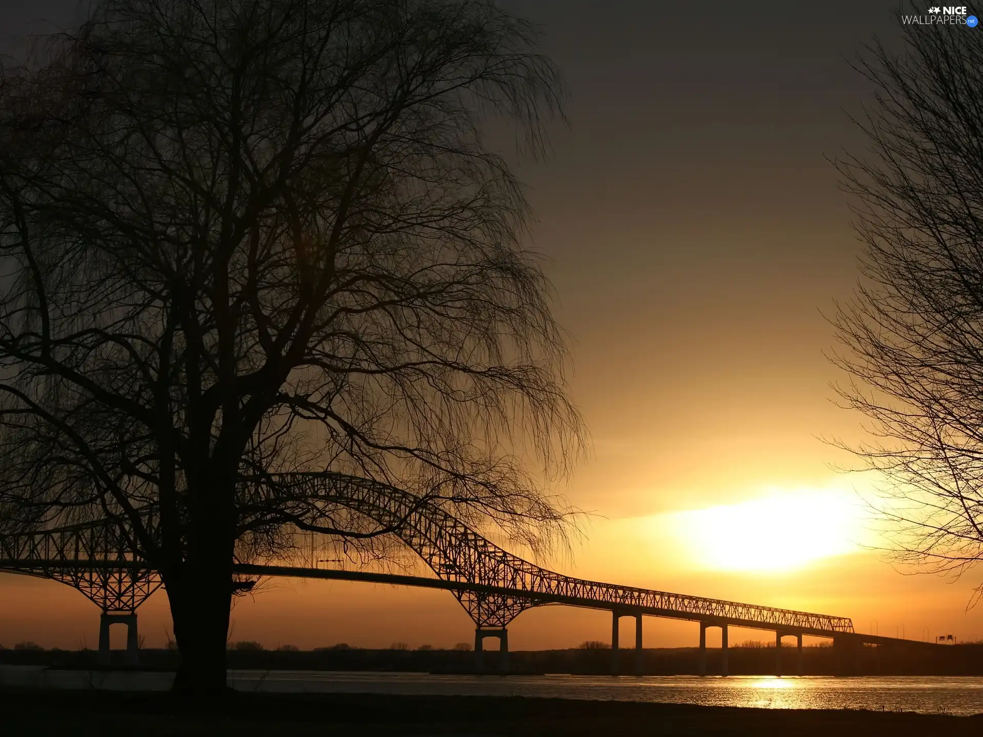 west, sun, trees, viewes, bridge