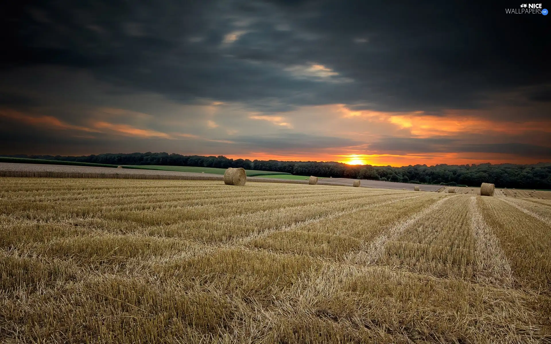 west, sun, Bele, hay, field