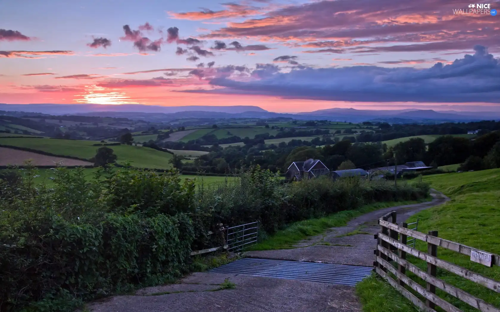 west, sun, Houses, Way, field