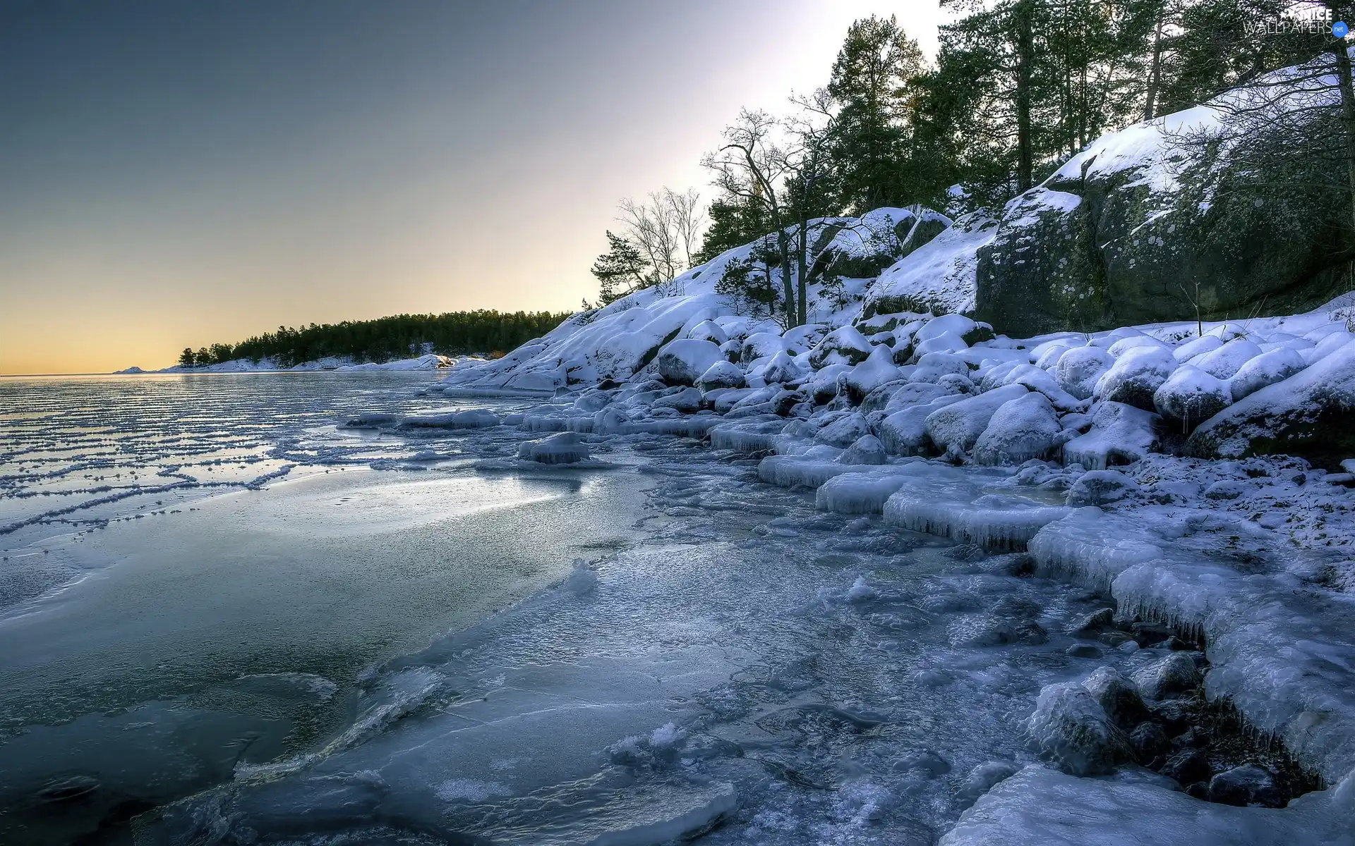 Coast, woods, winter, rocks