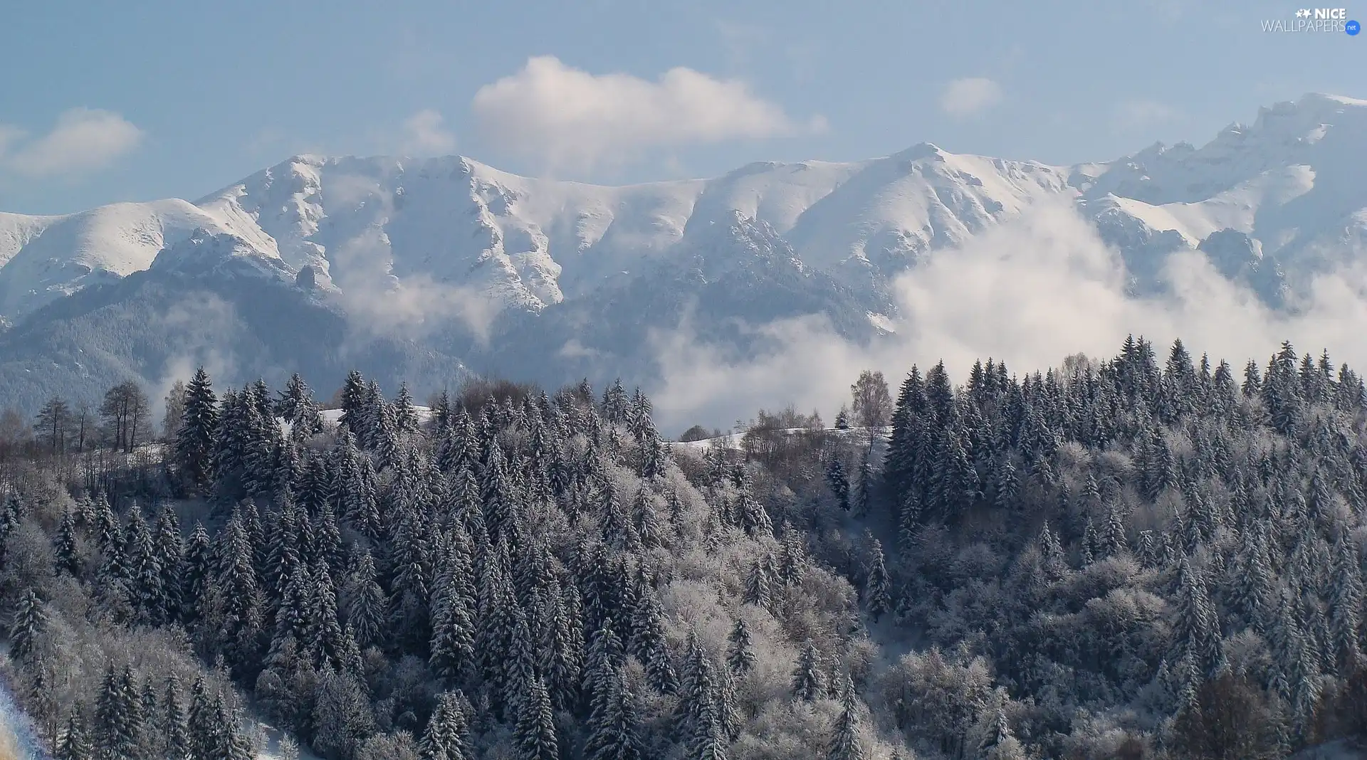 Mountains, forest, winter, Fog