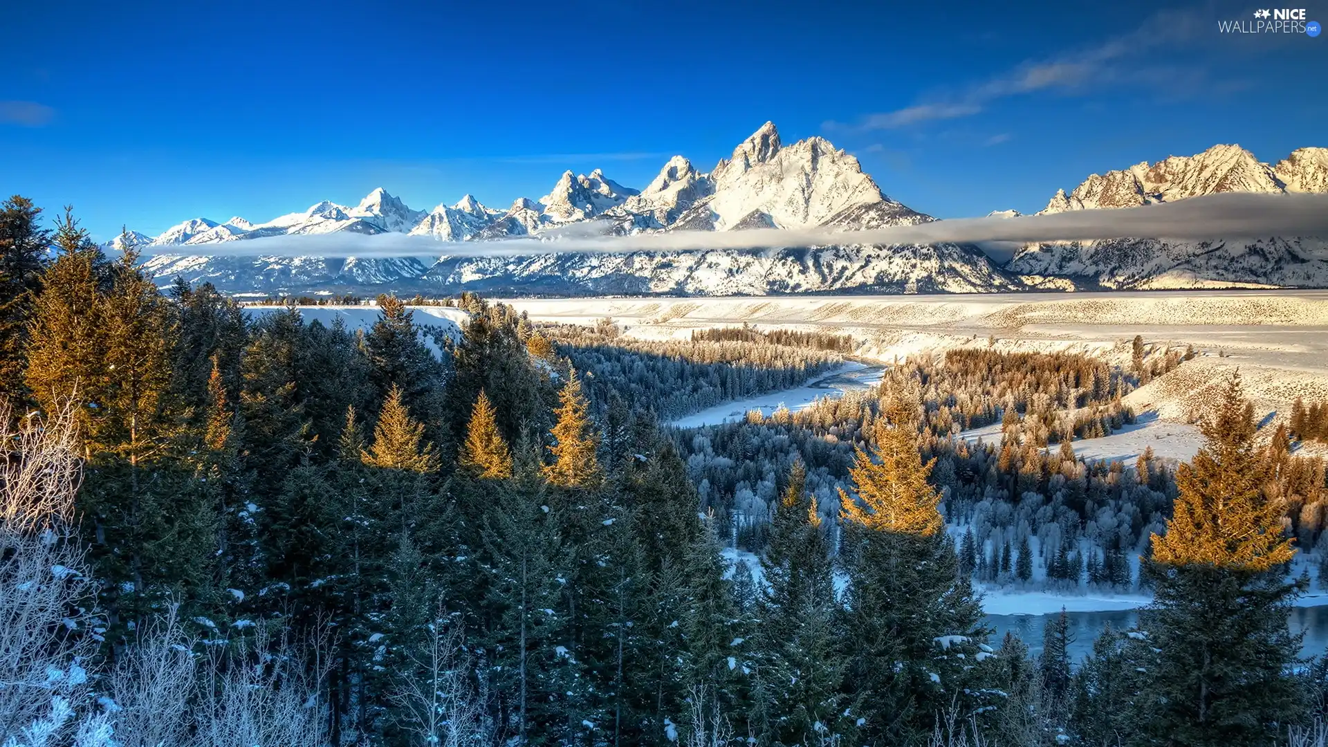 Mountains, snow, winter, forest