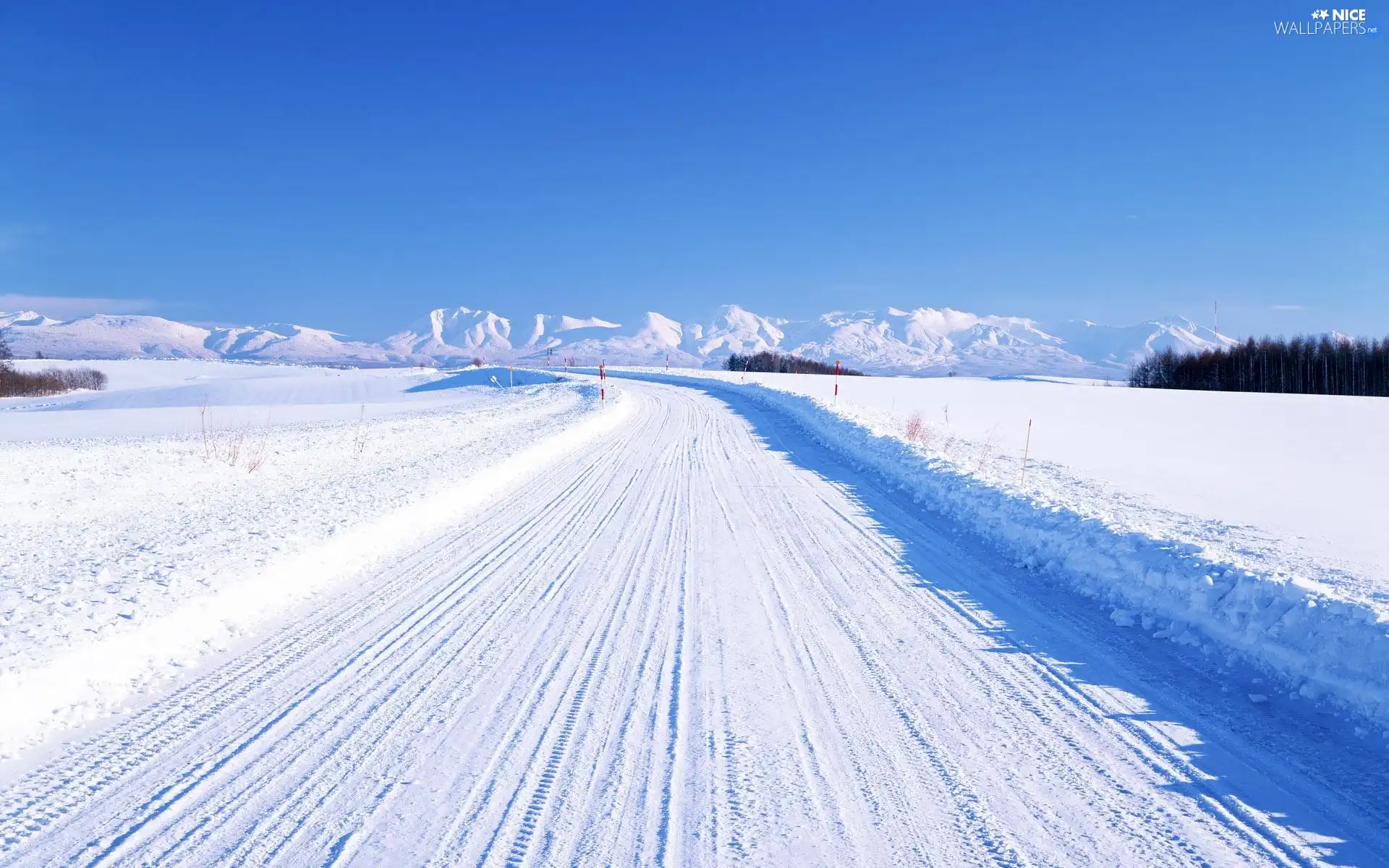 Mountains, Way, winter, field