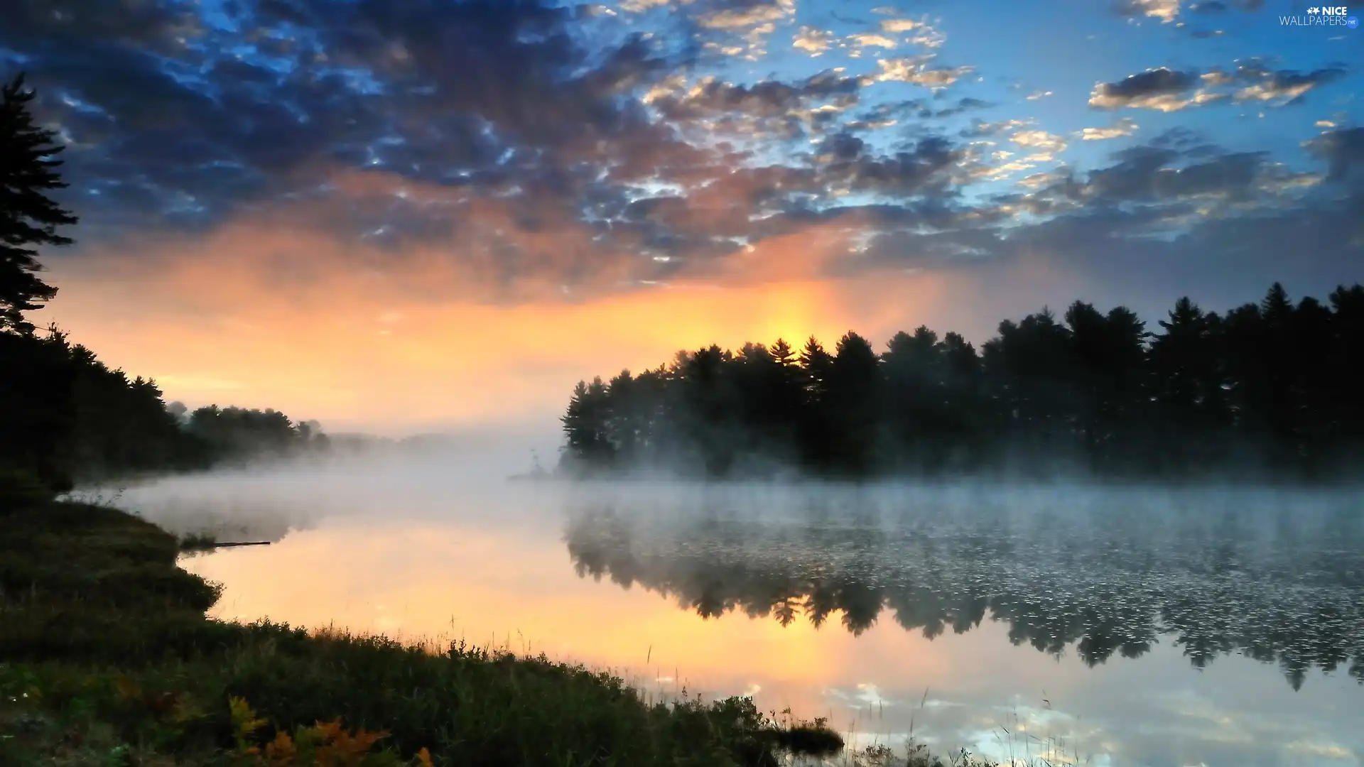 woods, River, Fog