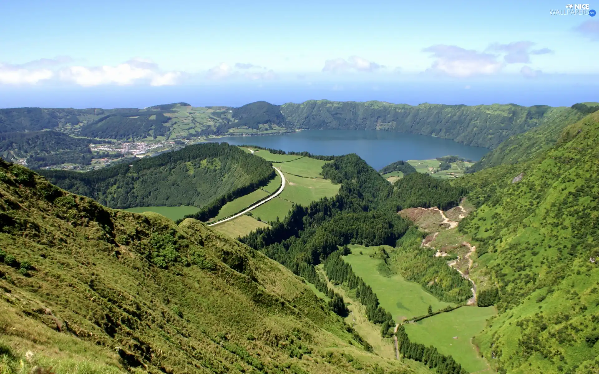 woods, Mountains, lake