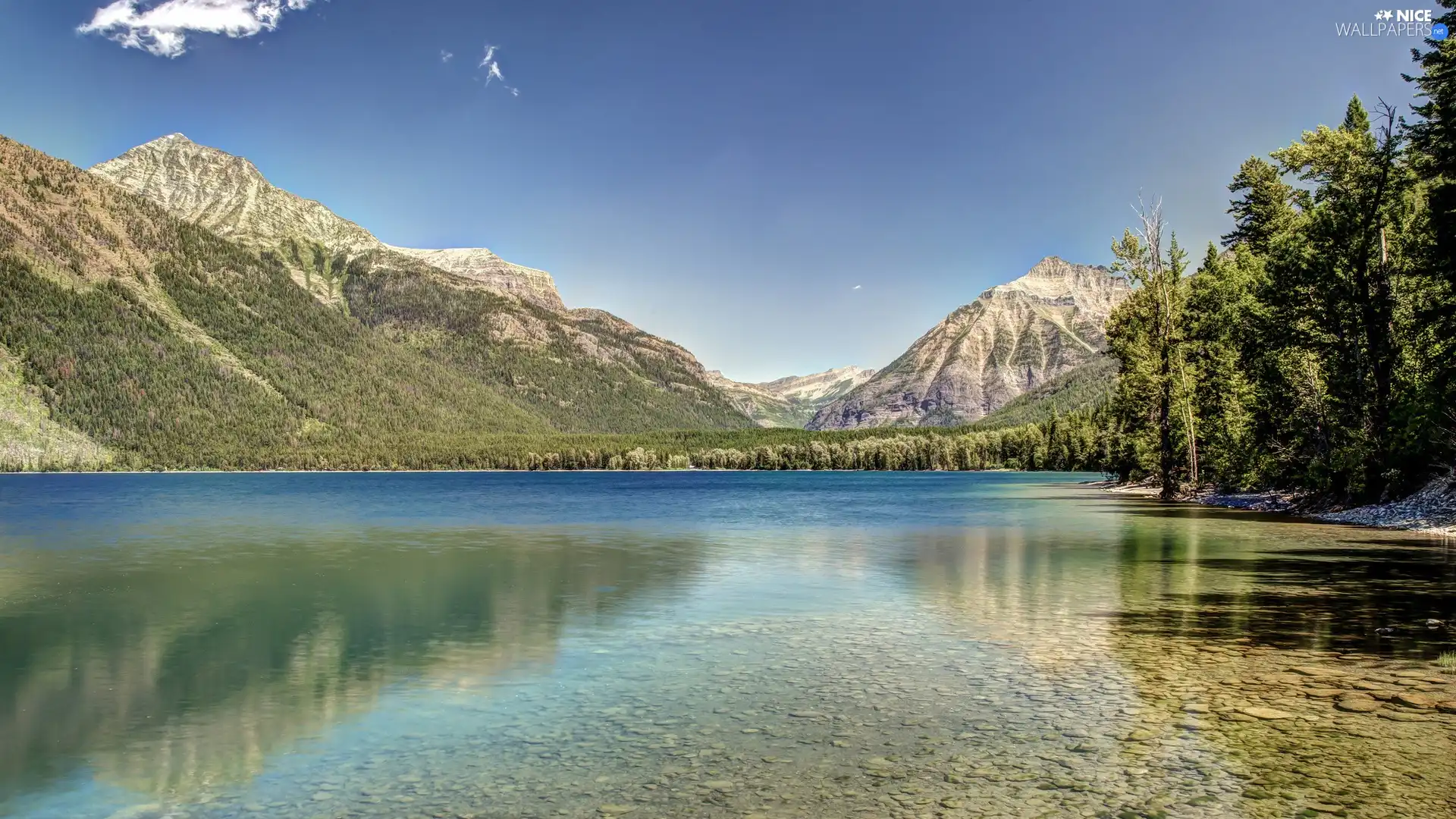 woods, lake, Mountains